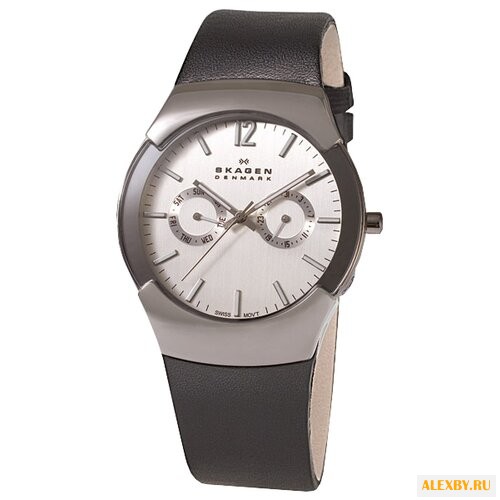 Наручные часы SKAGEN 583XLSLC