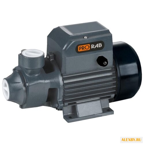 Насос PRORAB 8910