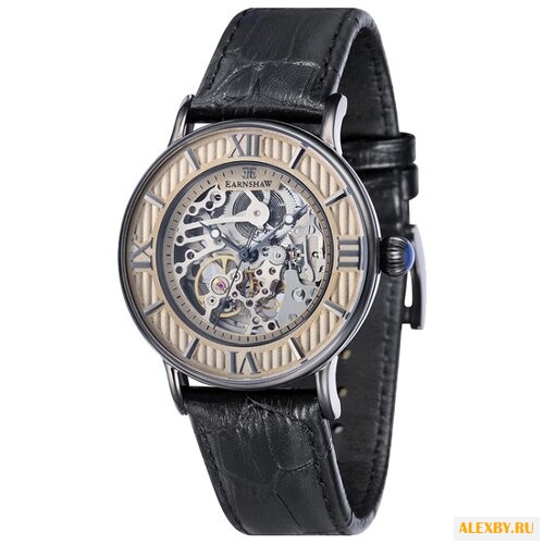 Наручные часы EARNSHAW ES-8038-05