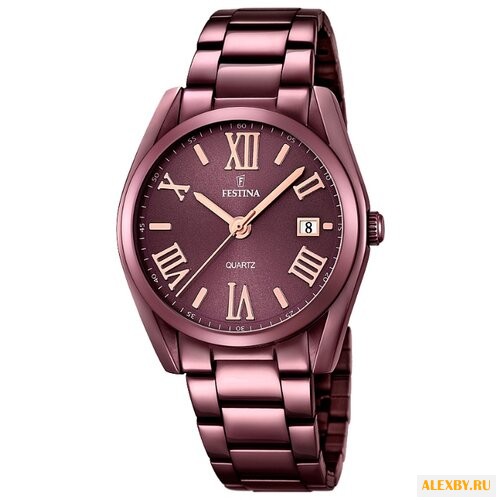Наручные часы FESTINA F16865 1