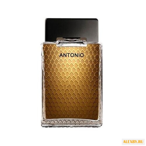 Antonio Banderas Antonio