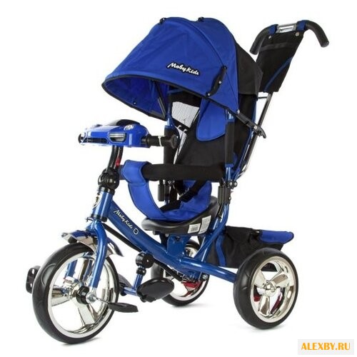Трехколесный велосипед Moby