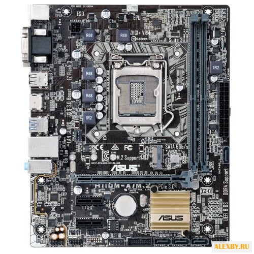 Материнская плата ASUS H110M-A