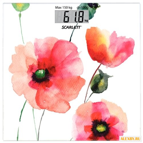 Весы Scarlett SC-BS33E084