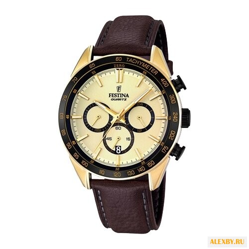 Наручные часы FESTINA F16845 1