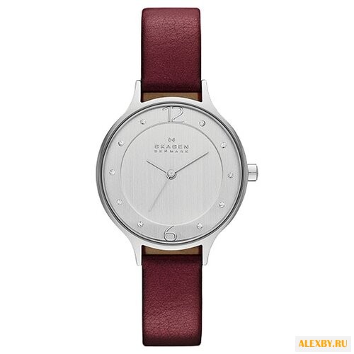 Наручные часы SKAGEN SKW2275
