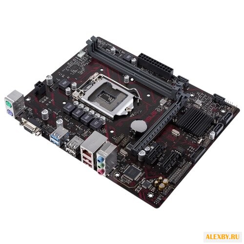 Материнская плата ASUS EX-H110M-V