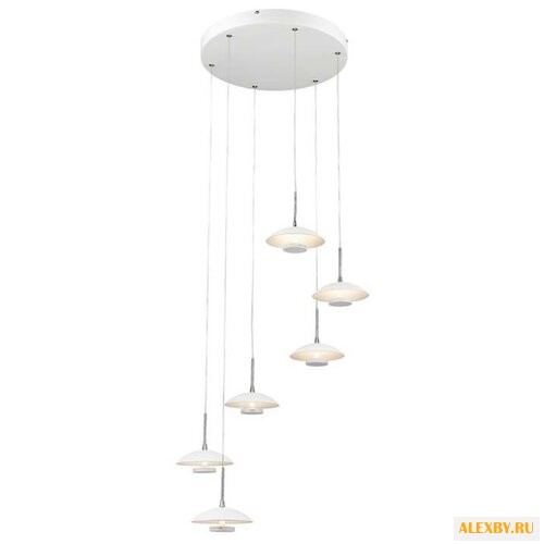 Wertmark Pilze WE435.06.006