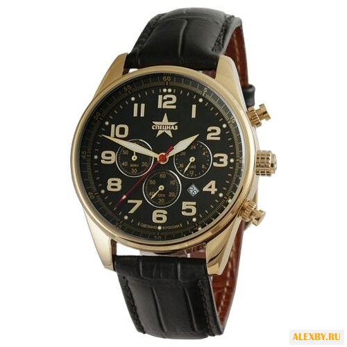 Наручные часы СПЕЦНАЗ С9379335