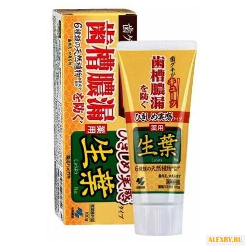 Зубная паста KOBAYASHI Японский