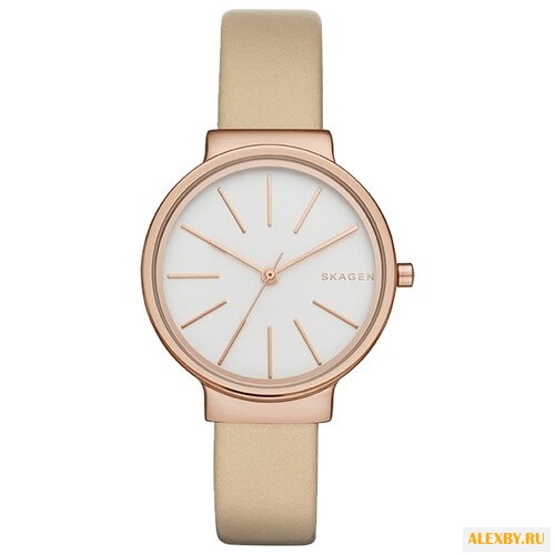 Наручные часы SKAGEN SKW2481