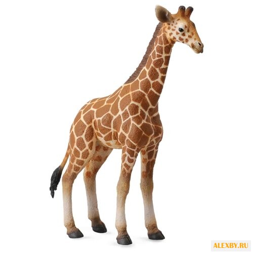 Фигурка Collecta Жеребенок