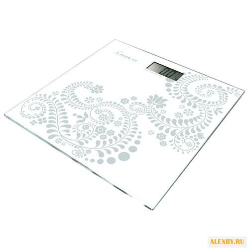 Весы Momert 5848–9