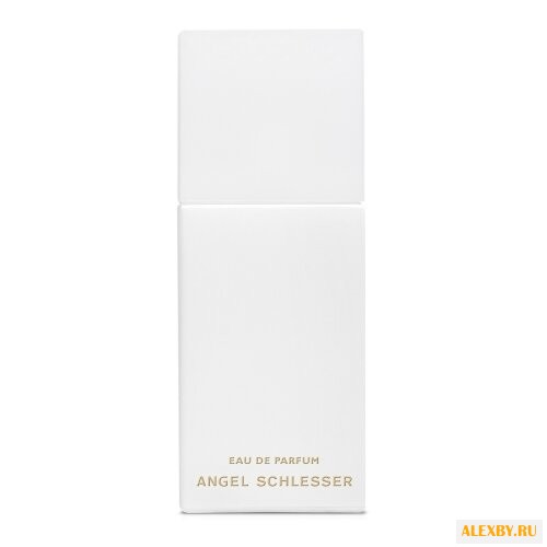 Angel Schlesser Angel Schlesser