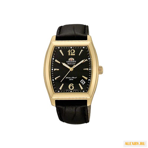 Наручные часы ORIENT ERAE005B