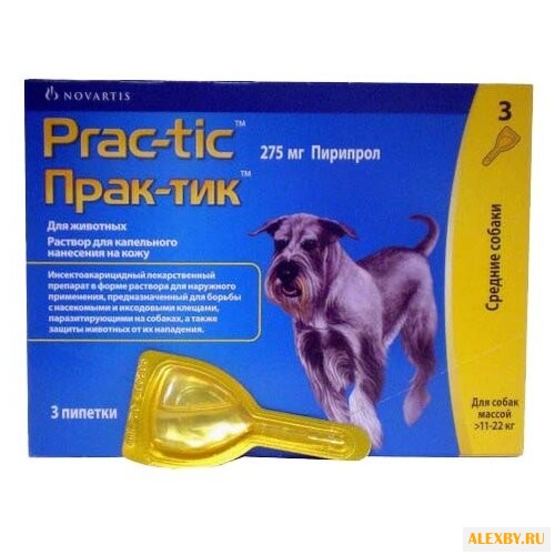 Novartis Прак-тик для крупных