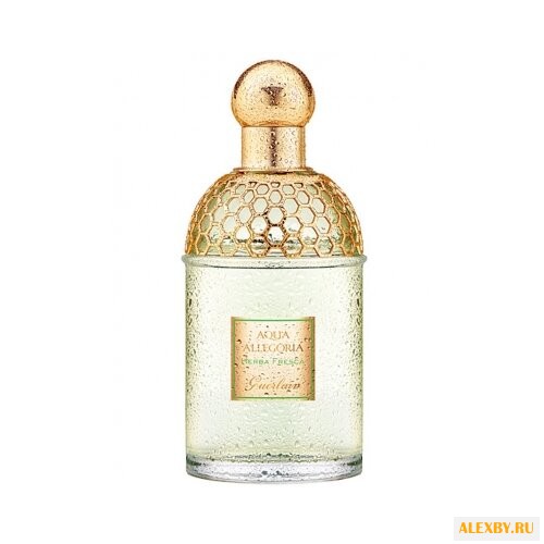 Guerlain Aqua Allegoria Herba