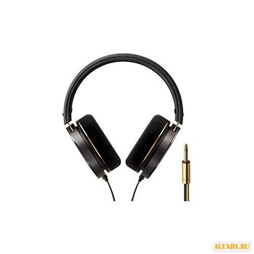 Наушники Onkyo A800