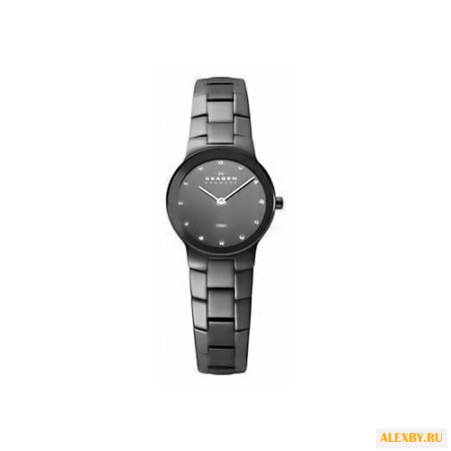 Наручные часы SKAGEN 430SMXM