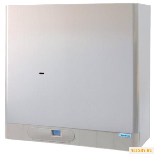 Газовый котел Thermona THERM 28