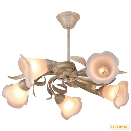 ESCADA Flora 482 5pl