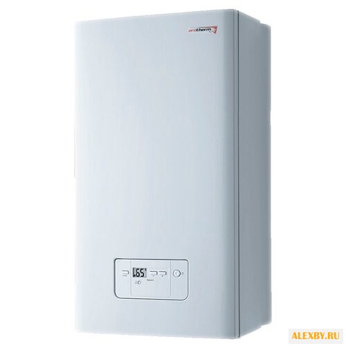Газовый котел Protherm Гепард