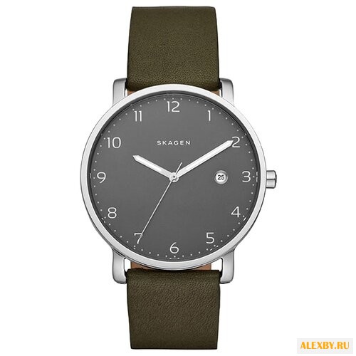 Наручные часы SKAGEN SKW6306