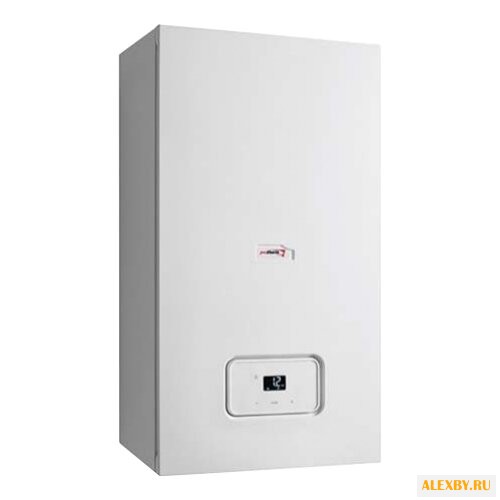 Газовый котел Protherm Рысь