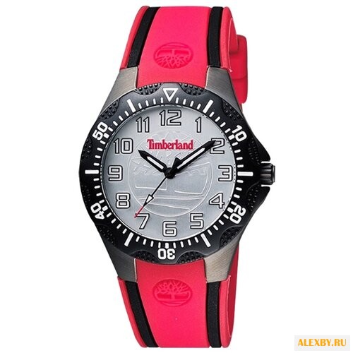Наручные часы Timberland