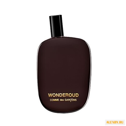 Comme Des Garcons Wonderoud