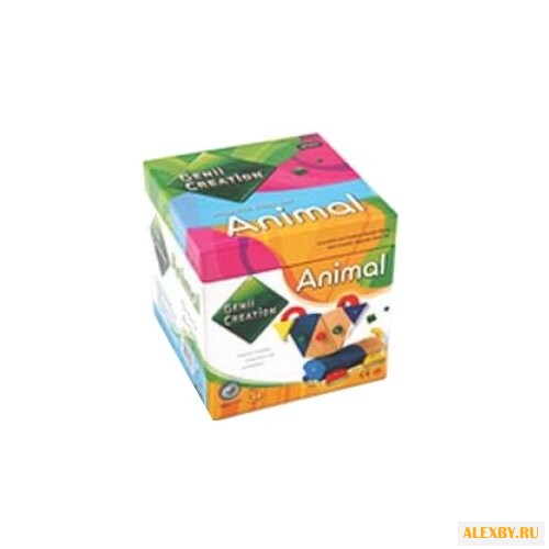 Магнитный конструктор Genii