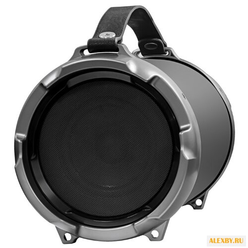 Портативная акустика Ginzzu