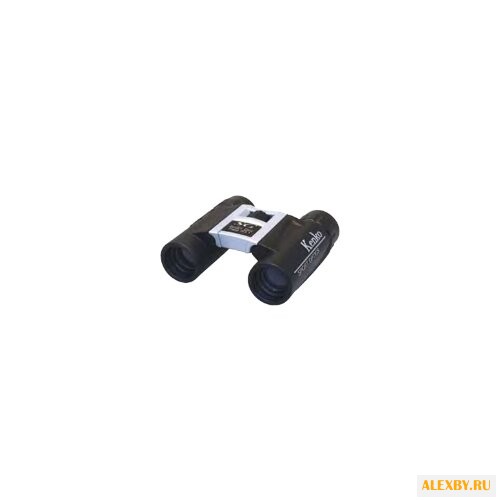 Бинокль Kenko 8x21 DH SG