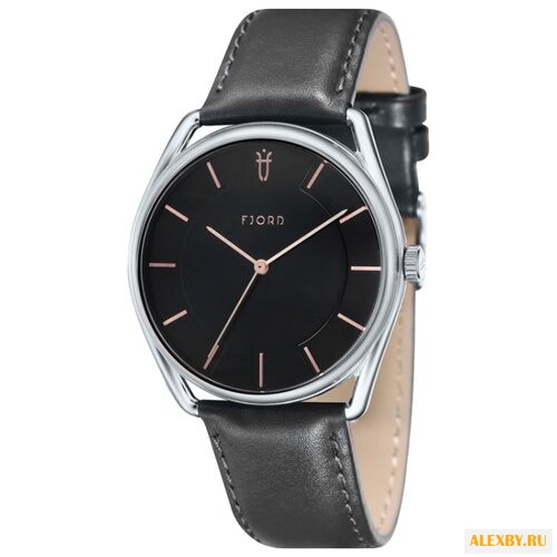 Наручные часы FJORD FJ-3022-01