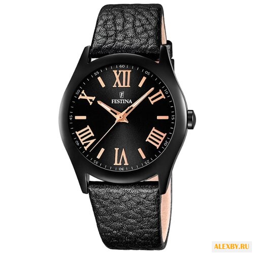 Наручные часы FESTINA F16649 9