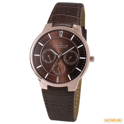 Наручные часы SKAGEN 331XLRLD