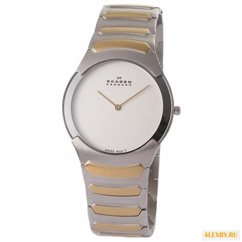 Наручные часы SKAGEN 582XLSGX