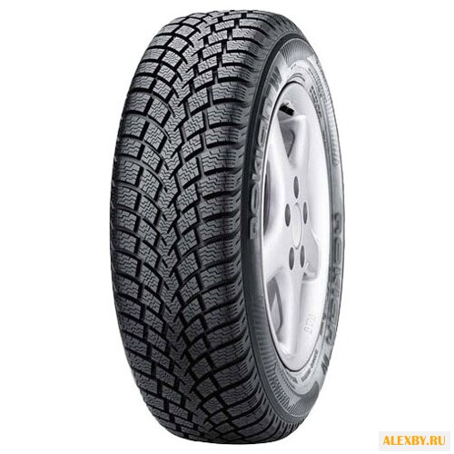 Автомобильная шина Nokian Tyres W
