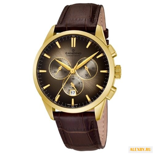 Наручные часы CANDINO C4518_6