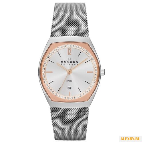 Наручные часы SKAGEN SKW2051