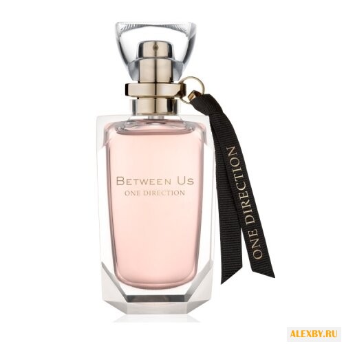 One Direction Between Us