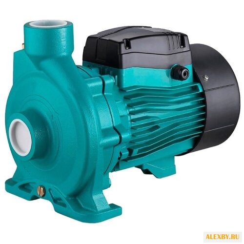 Насос LEO ACm300C2