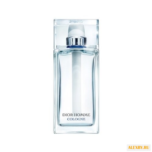 Christian Dior Dior Homme