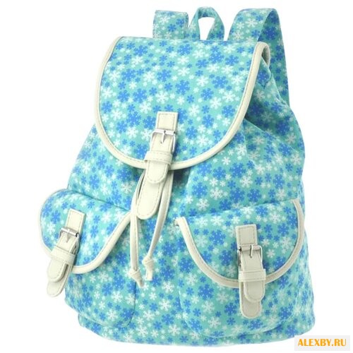 Рюкзак ASGARD Р-5594С 15