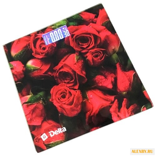 Весы DELTA D-9223