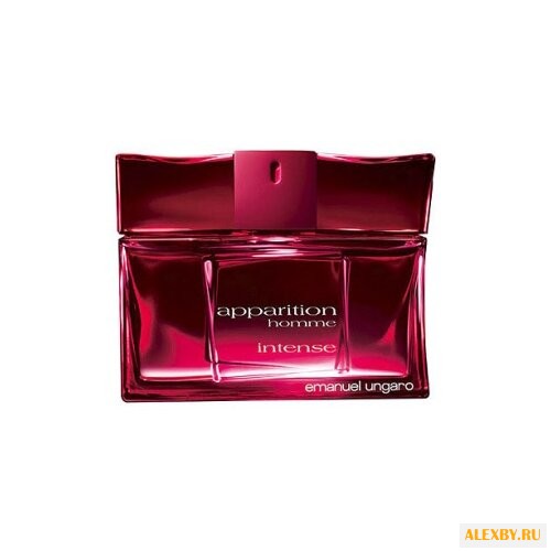 Emanuel Ungaro Apparition Homme