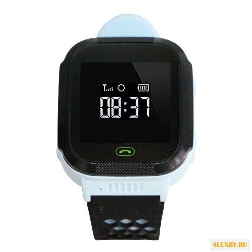 Часы CARCAM GW500S