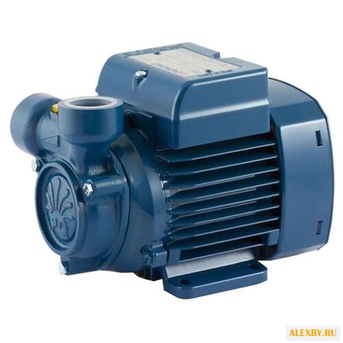 Насос Pedrollo PQm 65-Bs