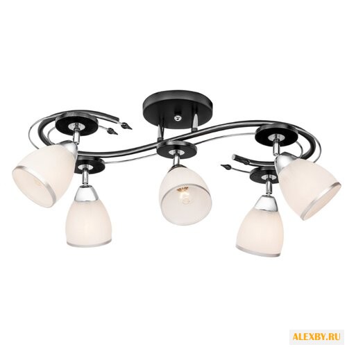 Silver Light Austerity 245.59.5