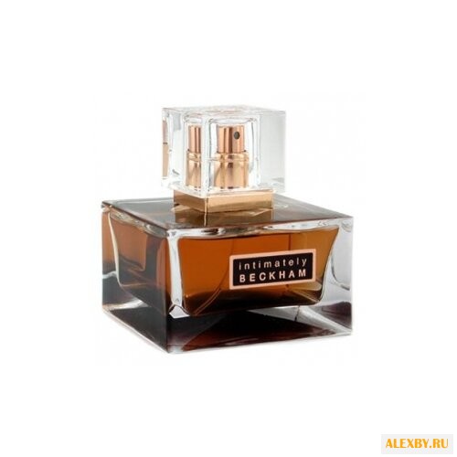 David Beckham Intimately